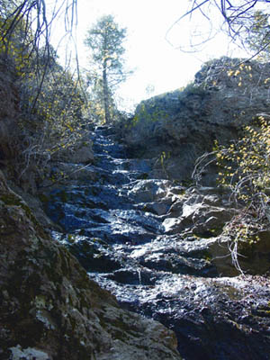 Wetter weather this spring has brought back the flow to an intermittent waterfall in 
Section 16. The site is about 1.2 miles from the Section 16 Trailhead at Gold Camp Road. From there, take the Palmer Trail to 
the Intemann Trail to the Waterfall Loop turnoff.