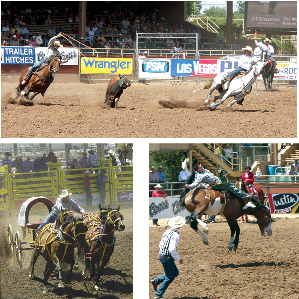 ABOVE: With a rope already around the horns by Tee Woolman (right), partner Kinney Harrell aims a loop at 
the steer's hoof during the team roping competition at the Pikes Peak or Bust Rodeo finals July 16. 
BELOW LEFT: A chuck wagon racer speeds past the south grandstand. 
BELOW RIGHT: Paul Jones is not quite able to hold onto his hat and struggles to hold onto his mount during the finals of
the bareback riding competition July 16.
Westside Pioneer photos