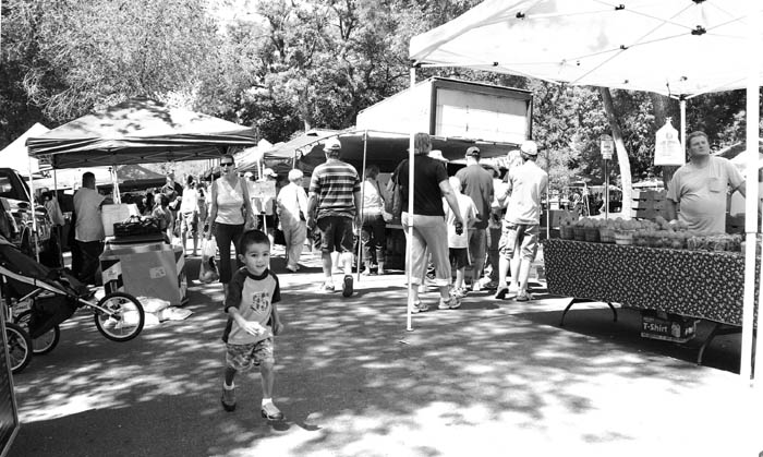 In its 22nd year, the summer-Saturday Farmers Market next to Bancroft Park appeals to young and old.
Westside Pioneer photo