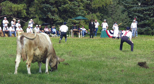 Patches, the Rock Ledge Ranch cow, grazes placidly in
short center field while Abby Dorman bats for the Camp
Creek Cloud Busters in the ninth inning.
Westside Pioneer photo
