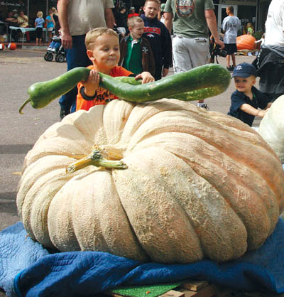 LEFT: Alex Montalvo, 4, plays with a gourd atop the
second-place winning giant pumpkin by Doug Minix in the Old Town Plaza at 25th and Colorado Oct. 4, during the
Old Colorado City Associates Giant Pumpkin Weigh-Off.
Westside Pioneer photo