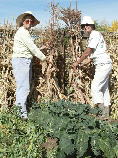 Edith DeMio (left) and Karen Flitton of the Bear Creek
Garden Association display some of the cornhusks members have cultivated.
Westside Pioneer photo